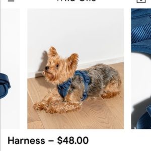 Wild One Dog Harness - Blue Large - so cute!!